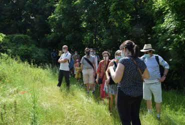 RANDONNÉE MILLE PATTES DANS LA VILLE ET LE PARC - 12 JUIN 2021